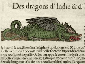 Darstellung eines Drachens aus Indien. Xylographie aus Sebastien Munsters Universal Cosmography. Bale von German School