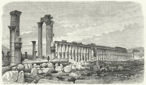 Ruinen der Stadt Palmyra, Syrien (Gravur) von German School