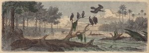 Südamerika: Mündung in Guyana von German School