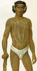 Tätowierter Mann von den Karolinen, 1894 von German School