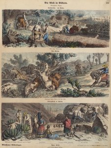 Der amerikanische Westen: eine neue Siedlung; wilde Pferde in New Mexico einfangen; eine Bergstraße in Mexiko (kolorierte Gravur) von German School