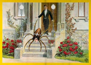 Die Spinnenfrau