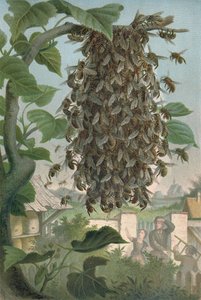 Das Bienenhaus, spätes 19. Jahrhundert von German School