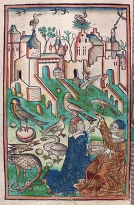 Die Vögel und Kreaturen der Luft, Illustration aus 