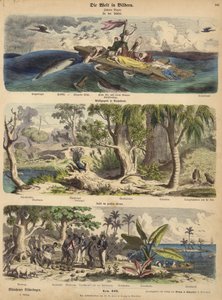 Der Pazifik: Schiffbrüchige treiben auf einem Floß in den Südsee; Wald in Neuholland (Australien); eine Pazifikinsel