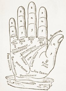 Die rechte Hand, Kopie einer Illustration aus Cerasariensis von Tricassus, Nürnberg 1560, verwendet in einer Geschichte der Magie, veröffentlicht Ende des 19. Jahrhunderts von German School