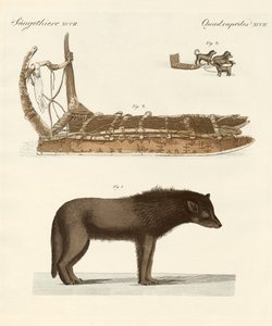 Der Hund der Baffin-Bucht