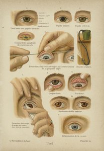 Das Auge von German School