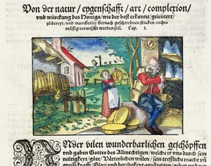 Die heilenden und therapeutischen Anwendungen von Honig in der Medizin, Illustration aus einem deutschen Traktat über Medizin, veröffentlicht in Straßburg 1573