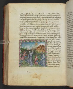 Ulrich von Pottenstein, Das Buch der natürlichen Weisheit, Egerton MS 1121 f.114v, ca. 1430 von German School