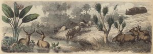 Wasserstelle in Südafrika von German School