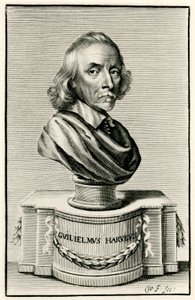 William Harvey von German School