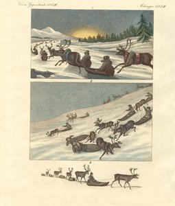 Winterreisen in Lappland
