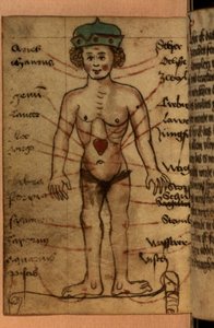 Zodiak-Diagramm, das die Position des Herzens zeigt, aus einer Sammlung von Gebeten und astrologischen Figuren