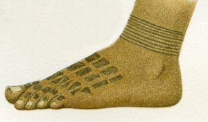 Beispiel für Dayak-Fußtattoo-Designs, Borneo, 1894 von German School