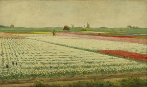 Tulpenfelder