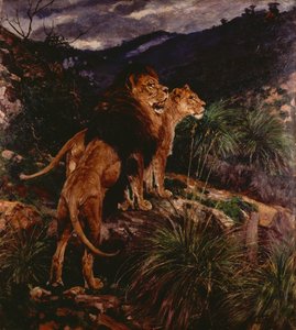 Löwen auf der Pirsch
