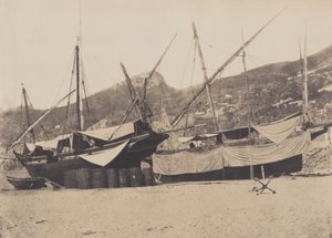 Salerne, 1855