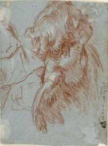 Studie für Detail: Kopf eines Cherubs von Giambattista Tiepolo