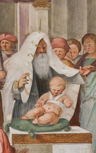 Zentrales Schiff, fünfter nördlicher Spann, Darstellung im Tempel, Gian Francesco Bembo