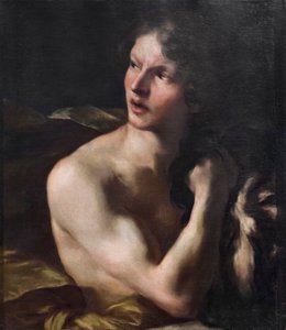 David von Gian Lorenzo Bernini