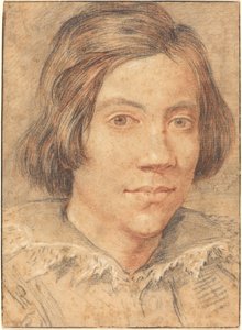 Porträt eines jungen Mannes von Gian Lorenzo Bernini