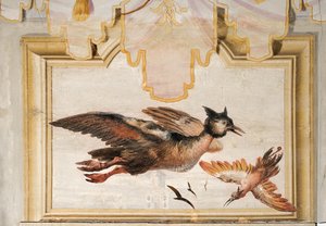 Ein Paar exotische Vögel, aus dem Chinesischen Raum in der Foresteria, 1757 von Giovanni Domenico Tiepolo