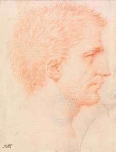 Kopf eines Mannes mit Stoppelbart, nach rechts gewandt von Giles Hussey