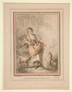 Mädchen füttert Hühner von Gilles Demarteau
