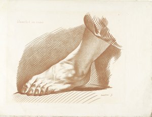 Studie des linken Fußes