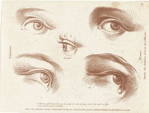 Studienblatt mit Beispielen von Augen