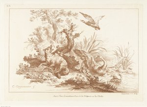 Fuchs mit Pfote in Falle und aufgeschreckter Schwan und Enten am Wasser