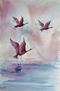 Anmutige rosa Vögel von Giorgio Gosti