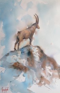 Majestätischer Alpensteinbock von Giorgio Gosti