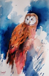 Majestätische Aquarell-Eule von Giorgio Gosti