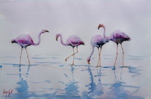 Pinkfarbene Flamingos im Wasser von Giorgio Gosti