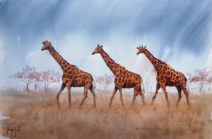 Safari-Giraffen-Trio von Giorgio Gosti