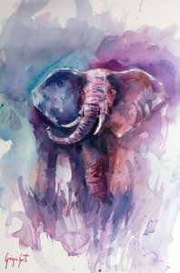Lebhafter Elefantentraum von Giorgio Gosti