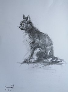 Wachsame Kohlekatze von Giorgio Gosti