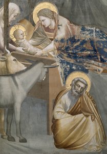 Die Geburt Christi, Detail der Jungfrau und des Kindes, des Esels und Josephs, 1303-05 (nach der Restaurierung) von Giotto di Bondone