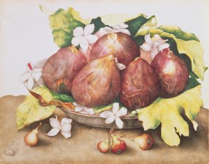 Feigen auf Blättern von Giovanna Garzoni