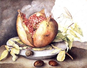 Granatapfel mit Kastanien