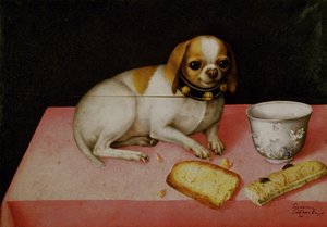 Porträt eines Hundes