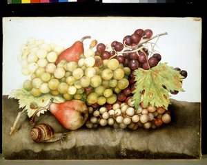 Unbekanntes Bild von Giovanna Garzoni