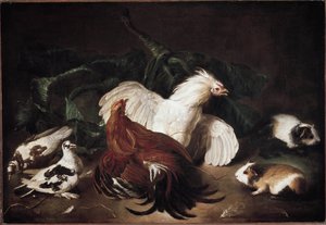 Stillleben mit Tieren, Hühnern und Hamstern von Giovanni Agostino Cassana