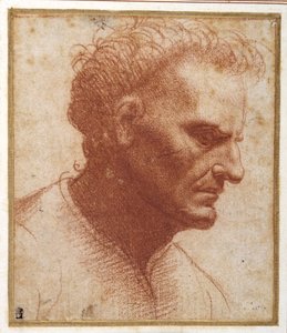 Kopf eines bartlosen Mannes, der nach unten schaut von Giovanni Agostino da Lodi