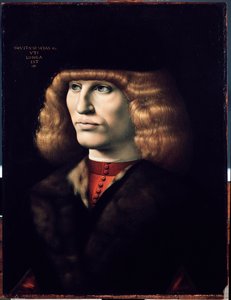 Porträt eines jungen Mannes, ca. 1495