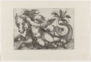 Putto reitet auf Seepferdchen von Giovanni Andrea Maglioli