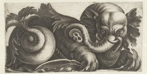 See-Elefant mit Blätterohren von Giovanni Andrea Maglioli