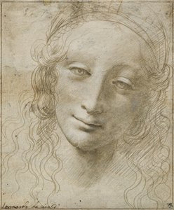 Kopf einer Frau von Giovanni Antonio Boltraffio